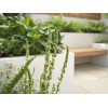 Beachside Paving 4 Size Pack 11.7m2