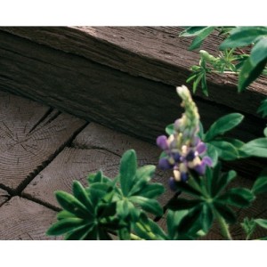 Sett Coppice Brown 225x225x50mm