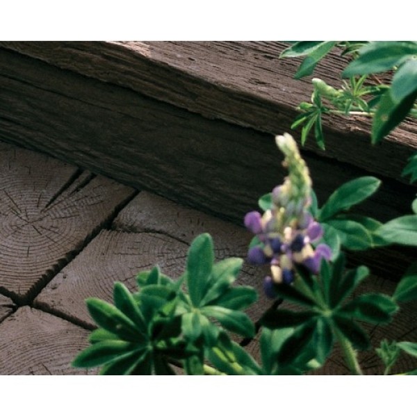Sett Coppice Brown 225x225x50mm