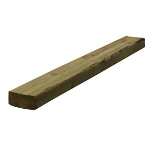 Treated Carcassing Unseasoned 47x100mm 3600mm