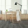 Caribou Pine Urban Plank 8mm