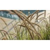 Paleo Gold Project Pack 15.68m2