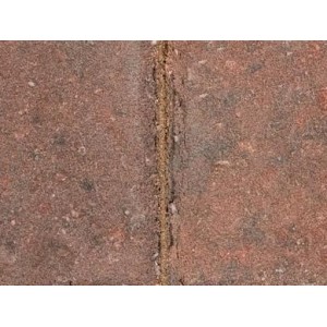 KS Keykerb Brindle