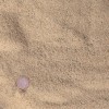 Kiln Dried Sand 25kg