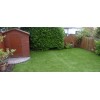 Faith Synthetic Grass 40mm 5m Wide