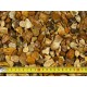 Harvest Gold 20mm 25kg Bag