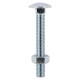 Carriage Bolt & Hex Nut - BZP - M10 x 100 - 2 PCS