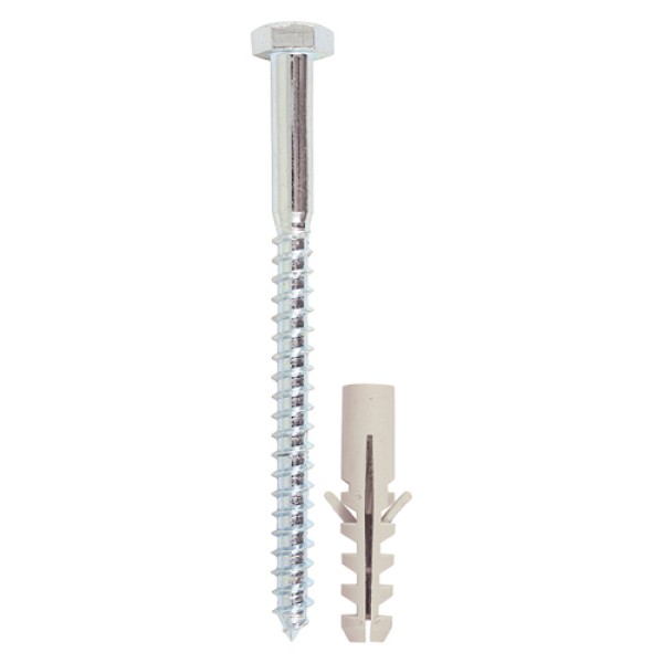 Coach Screw & Nylon Plugs - 8.0 x 100 - 12 PCS