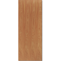 Brazil Door Blank