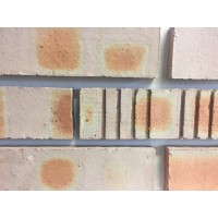 Common Bricks
